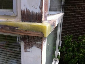 Houtrotherstel